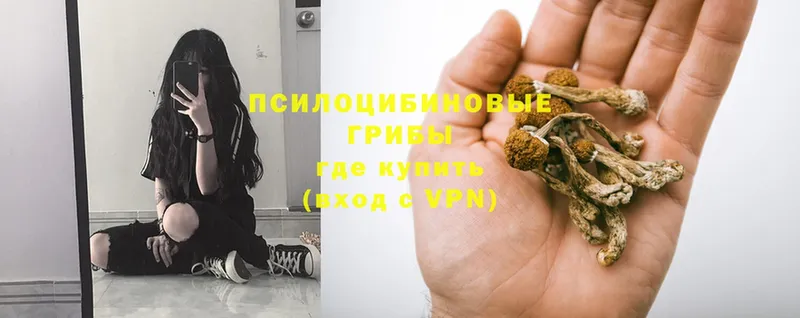 Галлюциногенные грибы GOLDEN TEACHER  Искитим 